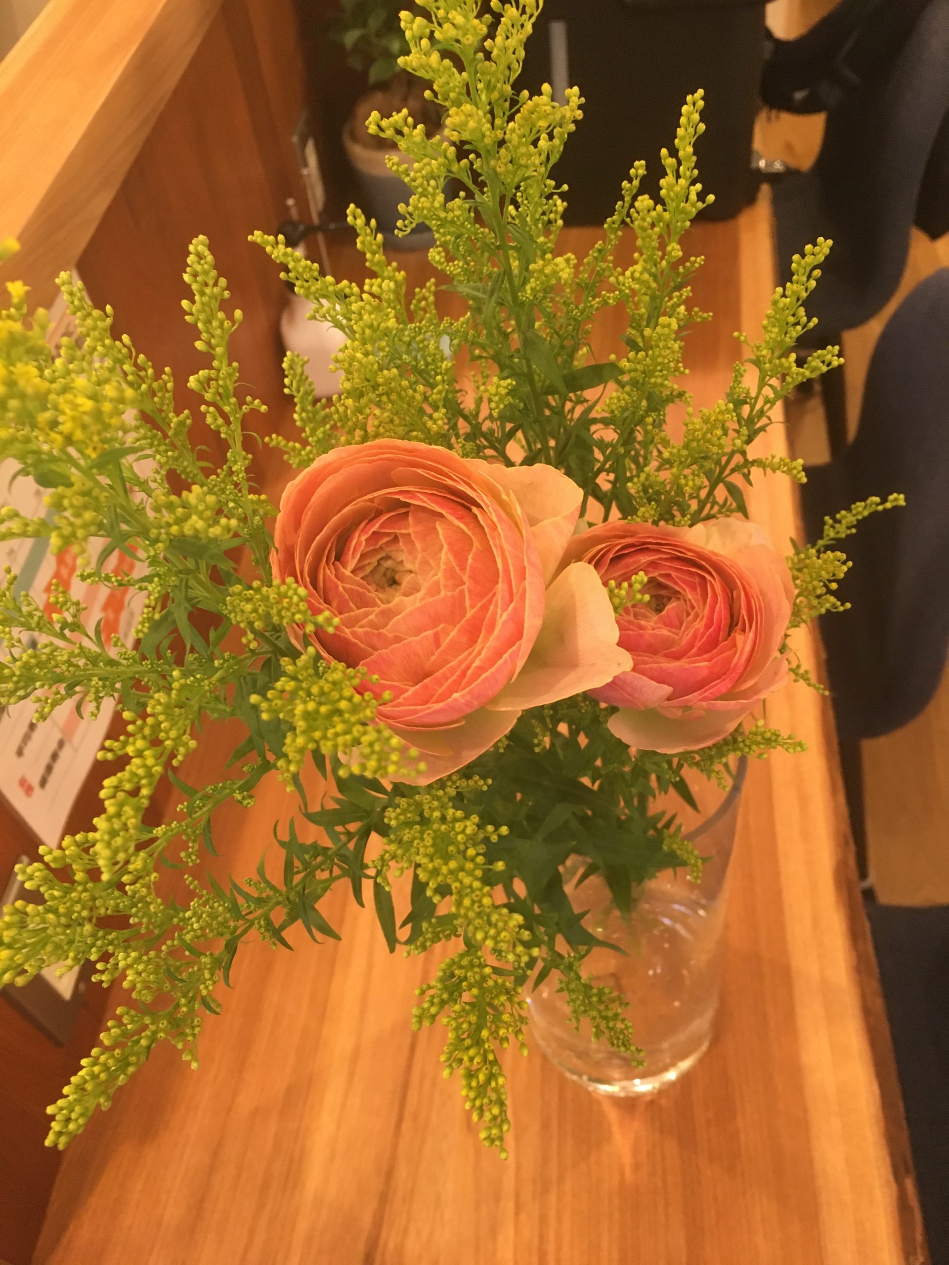 店頭のお花が新しくなりました 阿佐谷パールセンター 家族信託相談所 行政書士事務所アズーロ